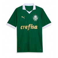 Camisa de Futebol Palmeiras Equipamento Principal 2024-25 Manga Curta